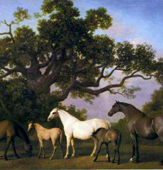 George Stubbs, Mares and foals under an oak tree